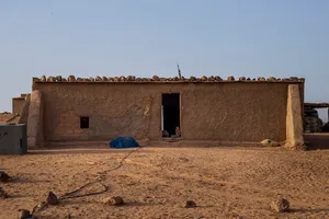 O Sahara Delas artwork