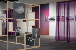 On the Verge exhibition - CAMERA