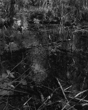 Peat Ontologies artwork