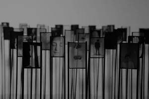 Pellicules aveugles (Blind films) artwork