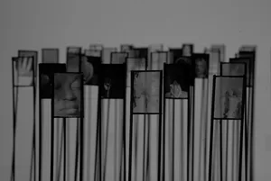 Pellicules aveugles (Blind films) artwork
