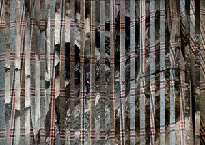 Petrus artwork