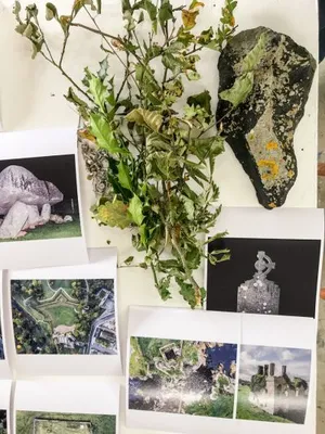 PhotoIreland organizes tutoring programme Residency Review