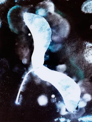 Polyphonies of the Invisible artwork