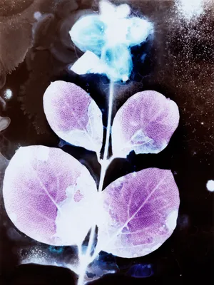 Polyphonies of the Invisible artwork