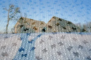 Pond House artwork