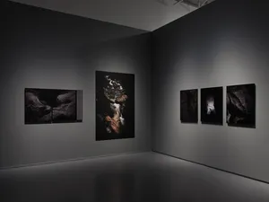 Presence of Liquid Passage, Passage of Solid Presence artwork