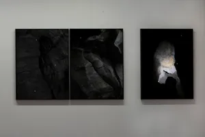 Presence of Liquid Passage, Passage of Solid Presence artwork