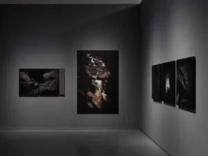 Presence of Liquid Passage, Passage of Solid Presence artwork