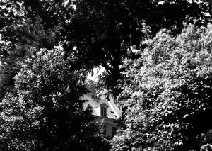 Present Traces of a Past Existence: A Photographic Research artwork