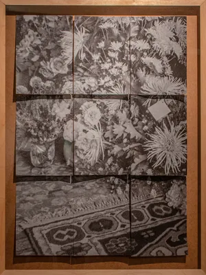Present Traces of a Past Existence: A Photographic Research artwork
