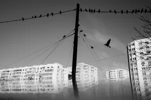 Meet the artists nominated by Photo Romania Festival in 2024