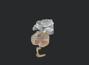 Private Collection artwork