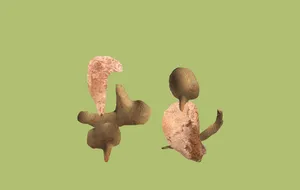 Private Collection artwork