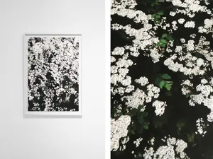 Project: Marc-Antoine Garnier artwork