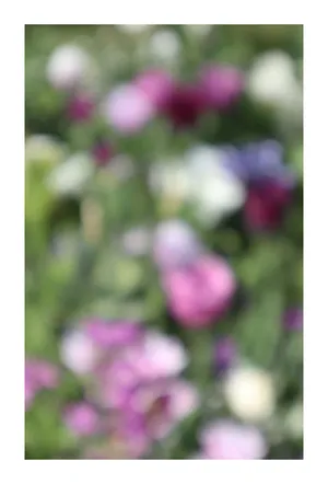Project: Marc-Antoine Garnier artwork