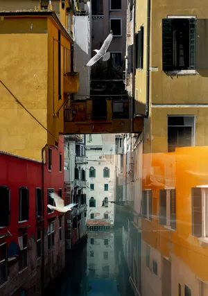 Raw Photography and Other Magical Territories: A Focused Journey artwork