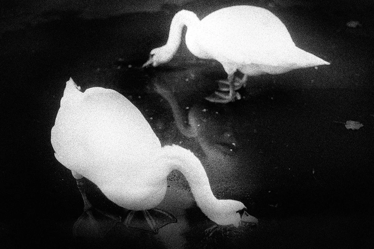 Meet the artists nominated by Photo Romania Festival in 2022