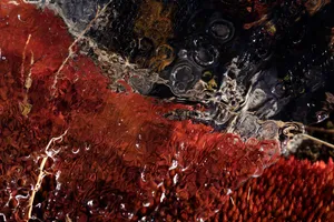 Refractions artwork