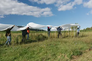 Reli(r)e Le Paysage [(Re)read the Landscape] artwork