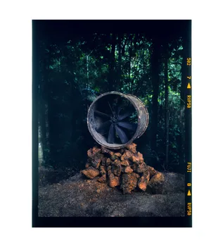 Rondônia artwork