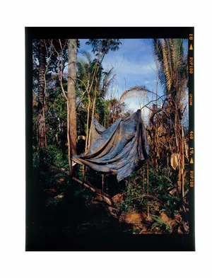 Rondônia artwork