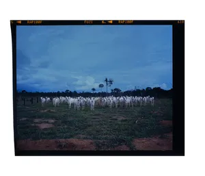 Rondônia