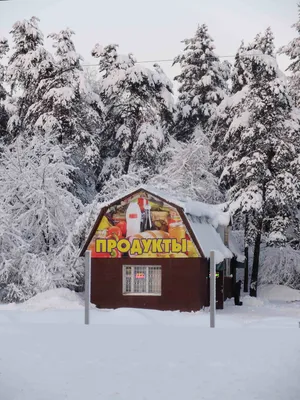 Russian Shame artwork