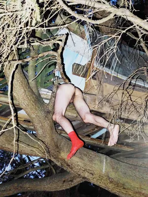 Russian Shame artwork