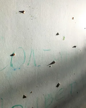 Russian Shame artwork