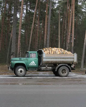 Russian Shame artwork