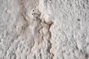 Salt Eats Stone artwork