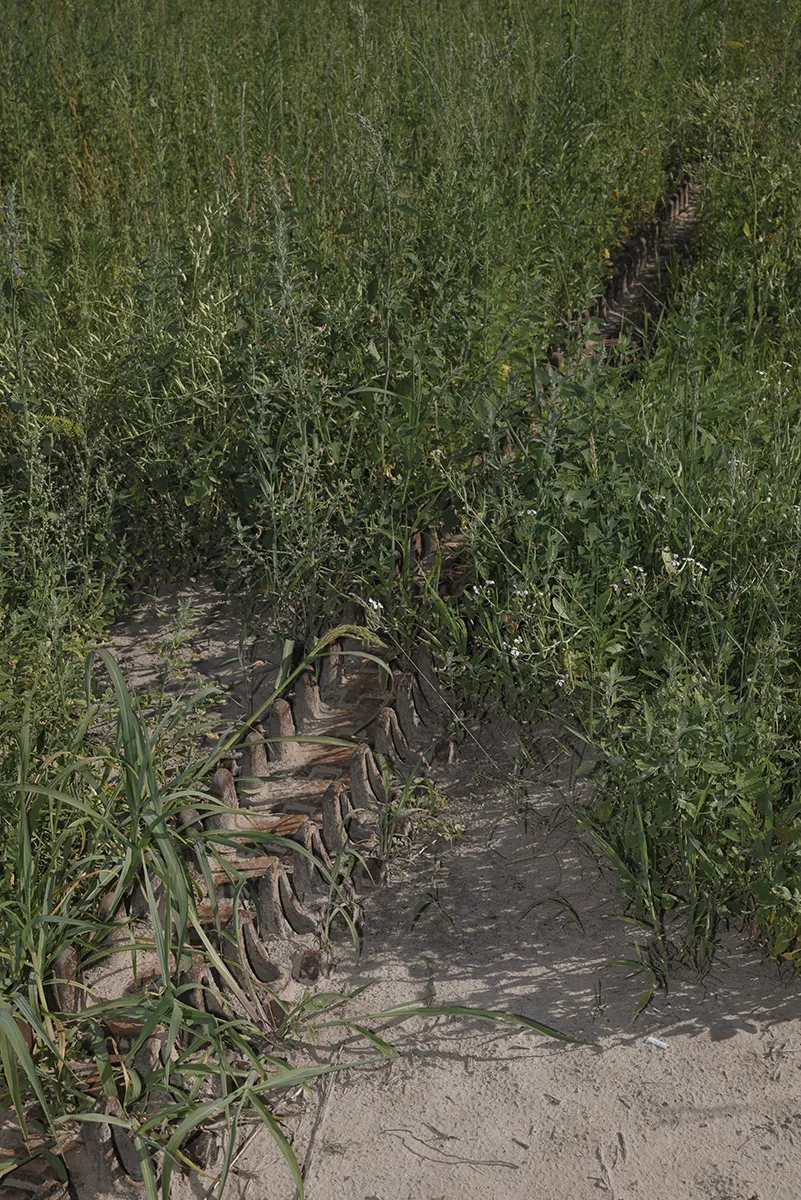 Meet the artists nominated by Fotofestiwal Lodz in 2023