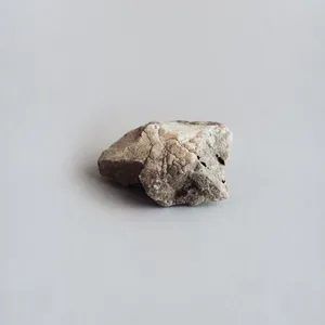 Sedimenta artwork