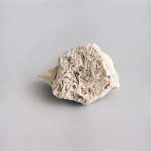 Sedimenta artwork