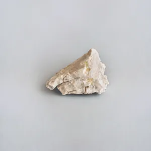 Sedimenta artwork