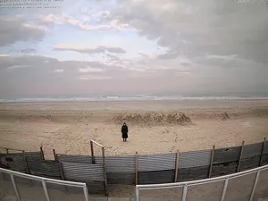 Self Portrait from Surveillance Camera artwork