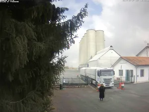 Self Portrait from Surveillance Camera artwork