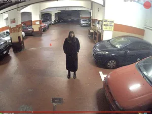 Self Portrait from Surveillance Camera artwork