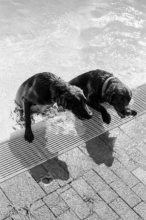 Meet the artists nominated by the Triennial of Photography Hamburg in 2023