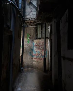 Shatila, The Twilight World artwork