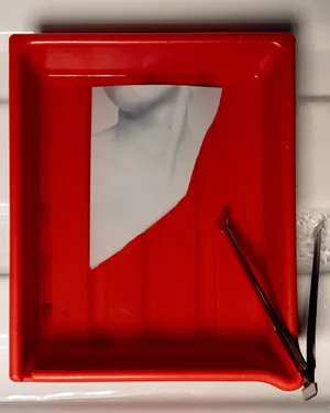 Siar artwork