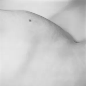 Siar artwork