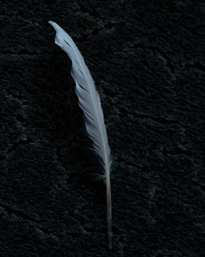 Silent Fleeting Sorrows artwork