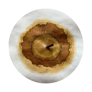 Soil Matters artwork