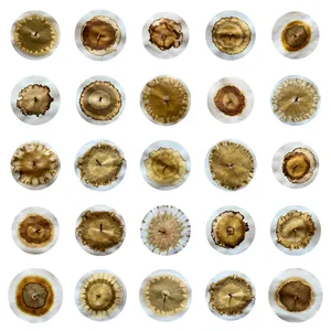 Soil Matters artwork