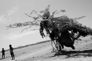 Somalia Independency artwork