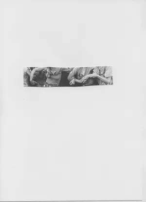 Songs for women and birds artwork