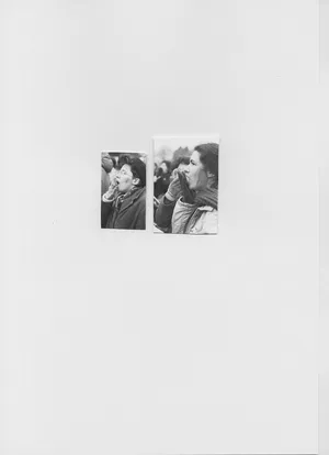 Songs for women and birds artwork
