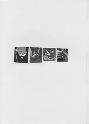 Songs for women and birds artwork